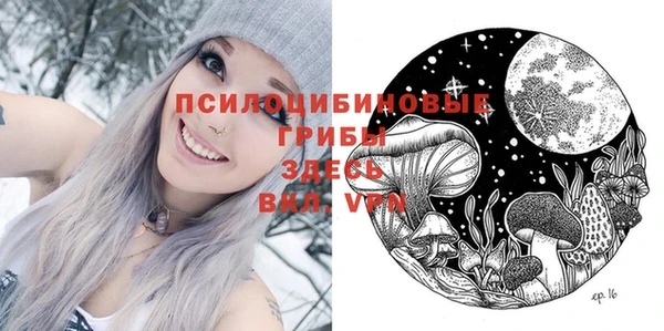 гидропоника Алзамай